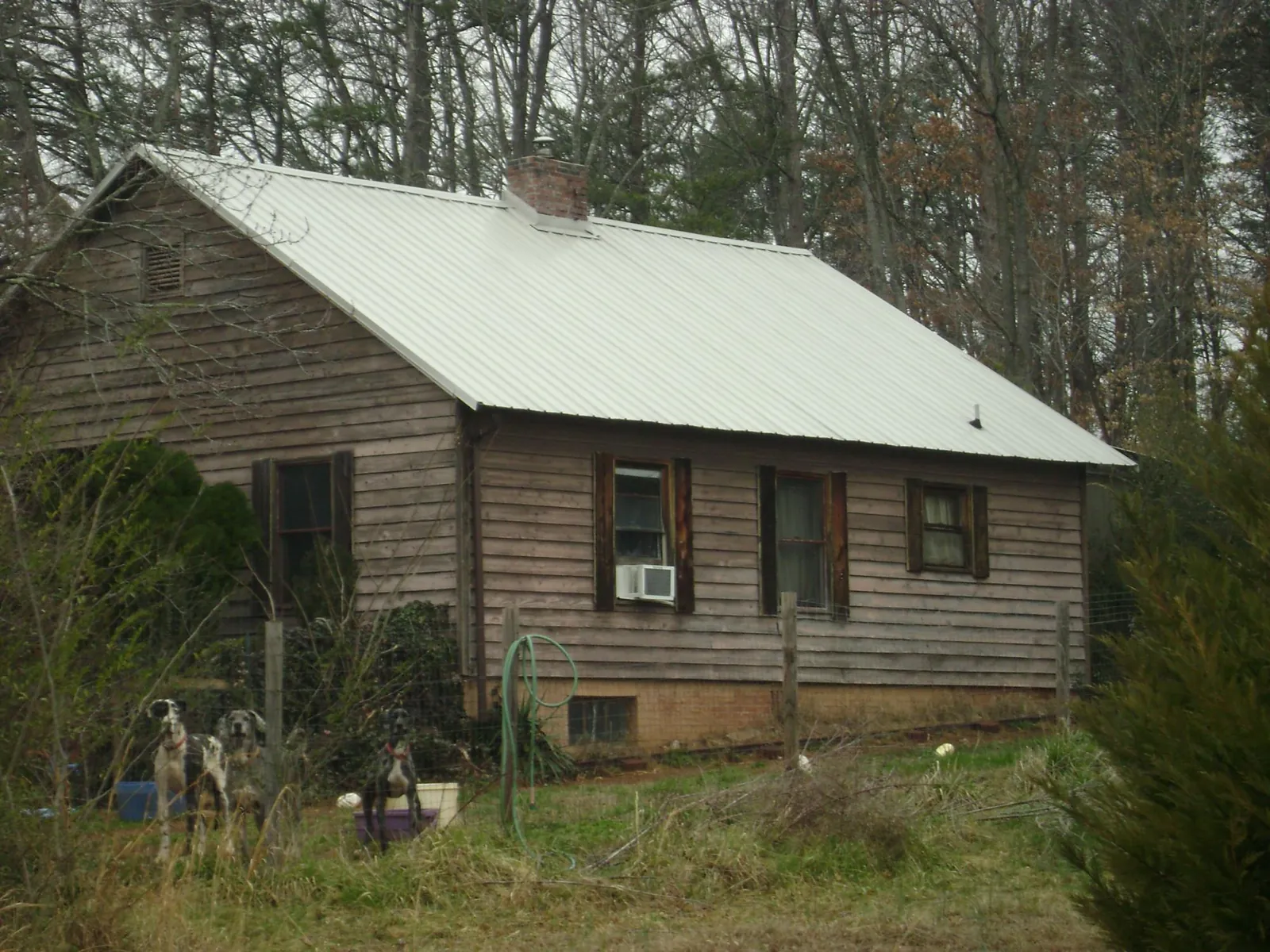 White metal roof on an old wood sided farmhouse, from a Metal Roof Installation job in Bowen